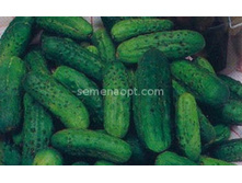 ������ ��������� F1 ����. 10��,(��) 13,00 ���.