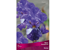 ���� ��������� �����.jpg