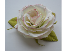 ����. �������� ��������� (������): �����, �������-�������, �������-�����, ������, ����������� ������� � �.�.