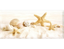 ������� ����� 1.jpg