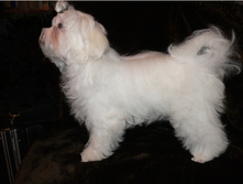 ��� 4 ������ (����� �������)