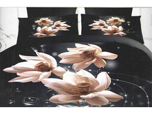 ��� ������ - ��������