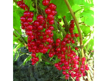 ��������� ������� ������.jpg