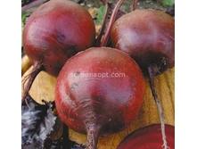 �ף��� ����� 237,(��) 7,30 ���. [���.13000095]