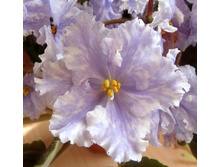 ��-�������� �.jpg