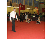 1-IMG_3938.JPG