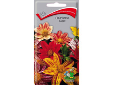 �������� �����.jpg