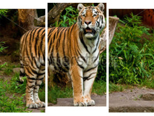 ���� 3 �.jpg