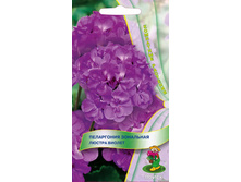 ���������� ��������� ������ ������.jpg