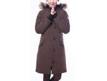 ����� 6 ������_6610 ���.