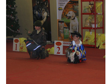 1-IMG_3976.JPG