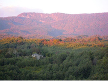 ��� ������.jpg