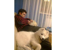 ����� ������� - �������