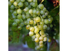 �������� �������� ������.jpg