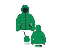 F15M1253  Flash green.png