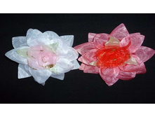 40���. ���.31.jpg