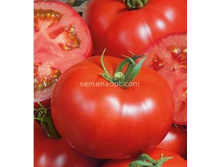 ����� ������� ����� �����������������,(��) 4,00 ���. [���.14000520]