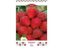 ��������� ������� ����.jpg