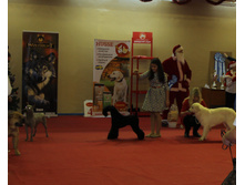 1-IMG_4004.JPG