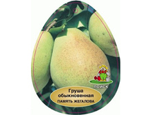 ����� ������ �������� � �������.jpg