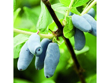 ��������� ��������� ������.jpg