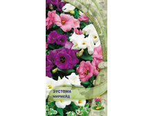 ������� �������	, �������� -	5	��, ���� 	27,40	+17%