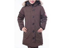 ����� 12 _6430 ���