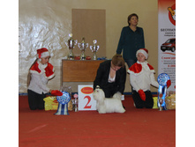 1-IMG_4032.JPG