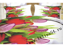 ����� ���������-1,5-�������� 3D.jpg