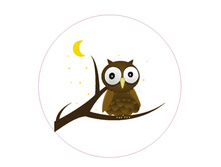 ��-��. 43 ���. ���-��� �����-����������. ������ - ����-���. �������-��� �������. ������ 50 ��.