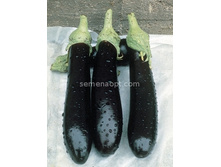 �������� F1 ���������  7�� ,(��) 19,00 ���. [���.2000115]