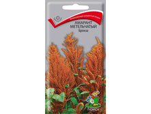 ������� ����������� ������.jpg