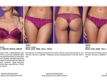 Apollo  �������� .jpg