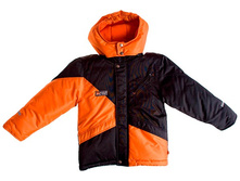 BIEGUN ������ 1 � 110�.-1��, 1386 ���.jpg