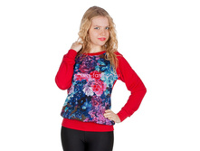 ������� ������� + ����� ������� SwSh2-3.jpg