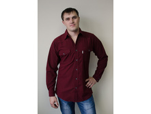 DV 767 SDV.jpg  - 590 ���.