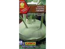 ������� �������� ������ ������������ ,(��) 6,00 ���. [���.6000399]