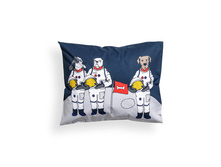 ��������� 4eur