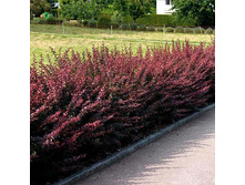 �������� �������� ������������.jpg