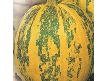 ����� ����������  ������������ ���������,(��) 6,00 ���. [���.15000051]