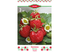 ��������� ������� ������.jpg