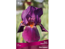 ���� ��������� ���������.jpg