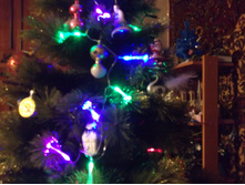 DSCF4682.JPG