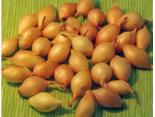 ���-����� ������.jpg