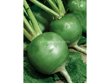 ������ ������������,(��) 5,50 ���. [���.��321      ]