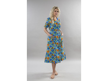 ����� �8  �������: M-8  ������: ����  ��������:     ����� �������    *������������ �� ���������.    *����� ��������.    *�������� ��������