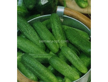 ������ ����� F1������������������ 10��,(��) 12,00 ���. [���.10000099]