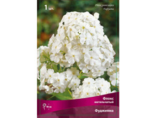 ����� ����������� ��������.jpg