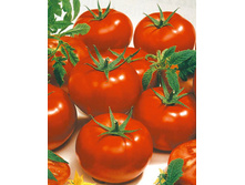 ����� ���� F1 ������,(��) 8,00 ���. [���.14000386]