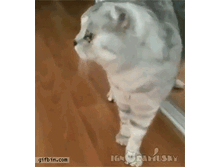 ��� -  ��� ���?